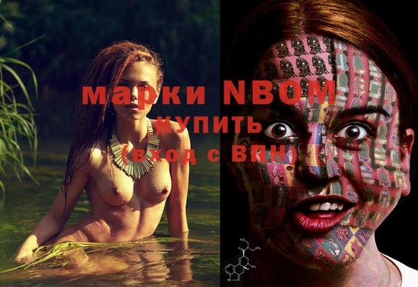 a pvp Аркадак